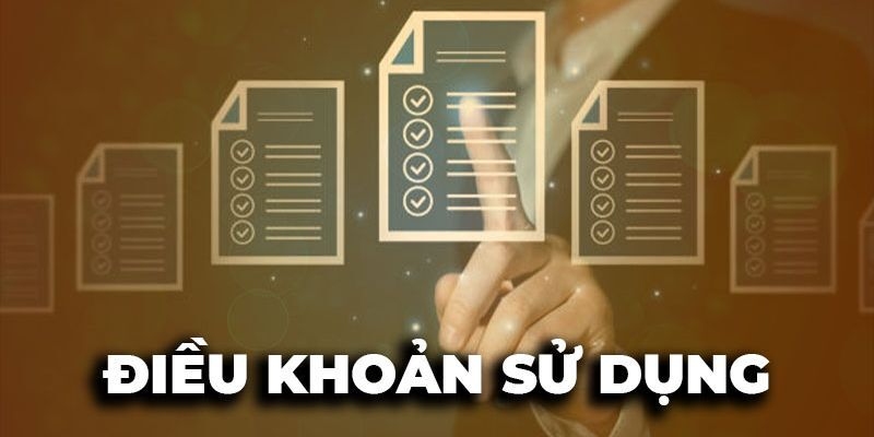 Lý do hội viên cần có các điều khoản sử dụng 789win